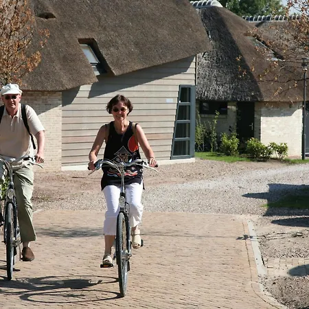 In Netherlands Near The Coast *
