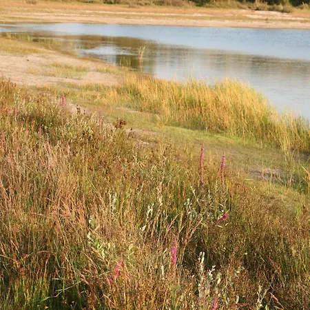 In Netherlands Near The Coast Σπίτι διακοπών